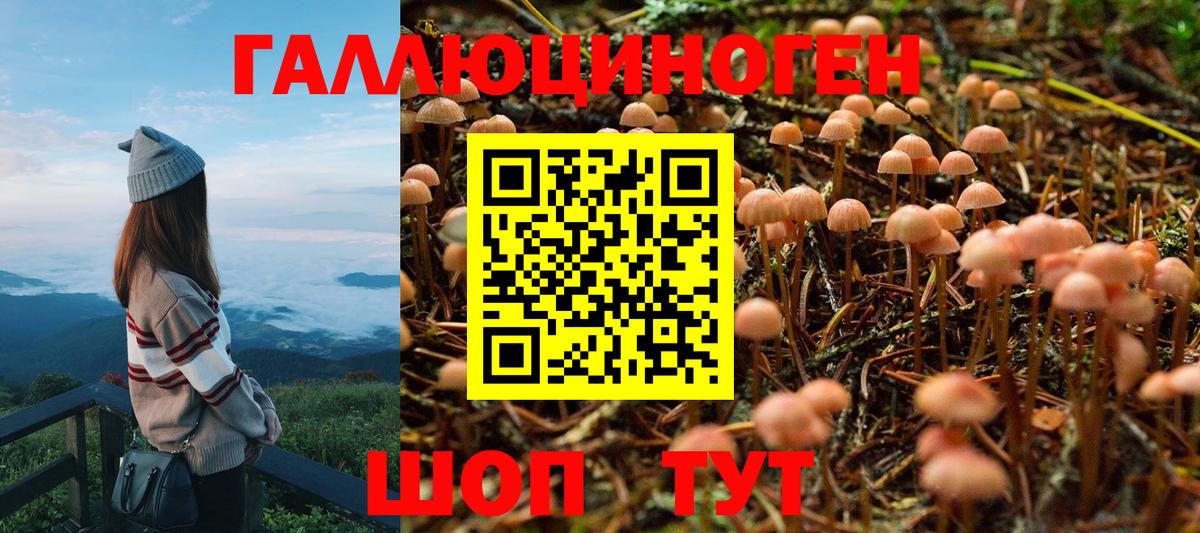 Галлюциногенные грибы Cubensis  Псилоцибиновые грибы мицелий  Вход с VPN  Малоярославец 